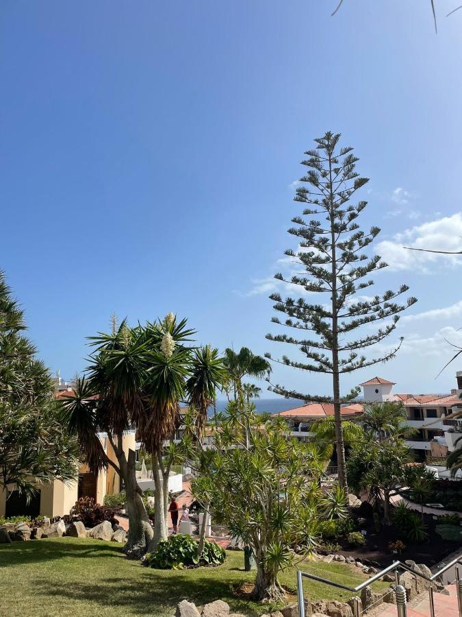 Paraiso Albatros, Beautiful Complex Apartamento