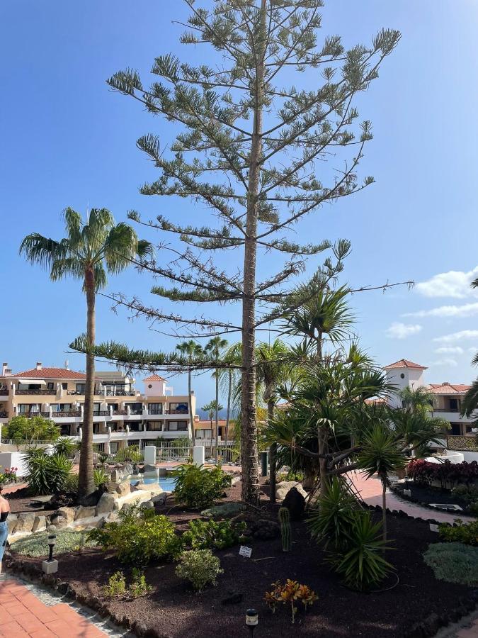 Paraiso Albatros, Beautiful Complex Apartamento *